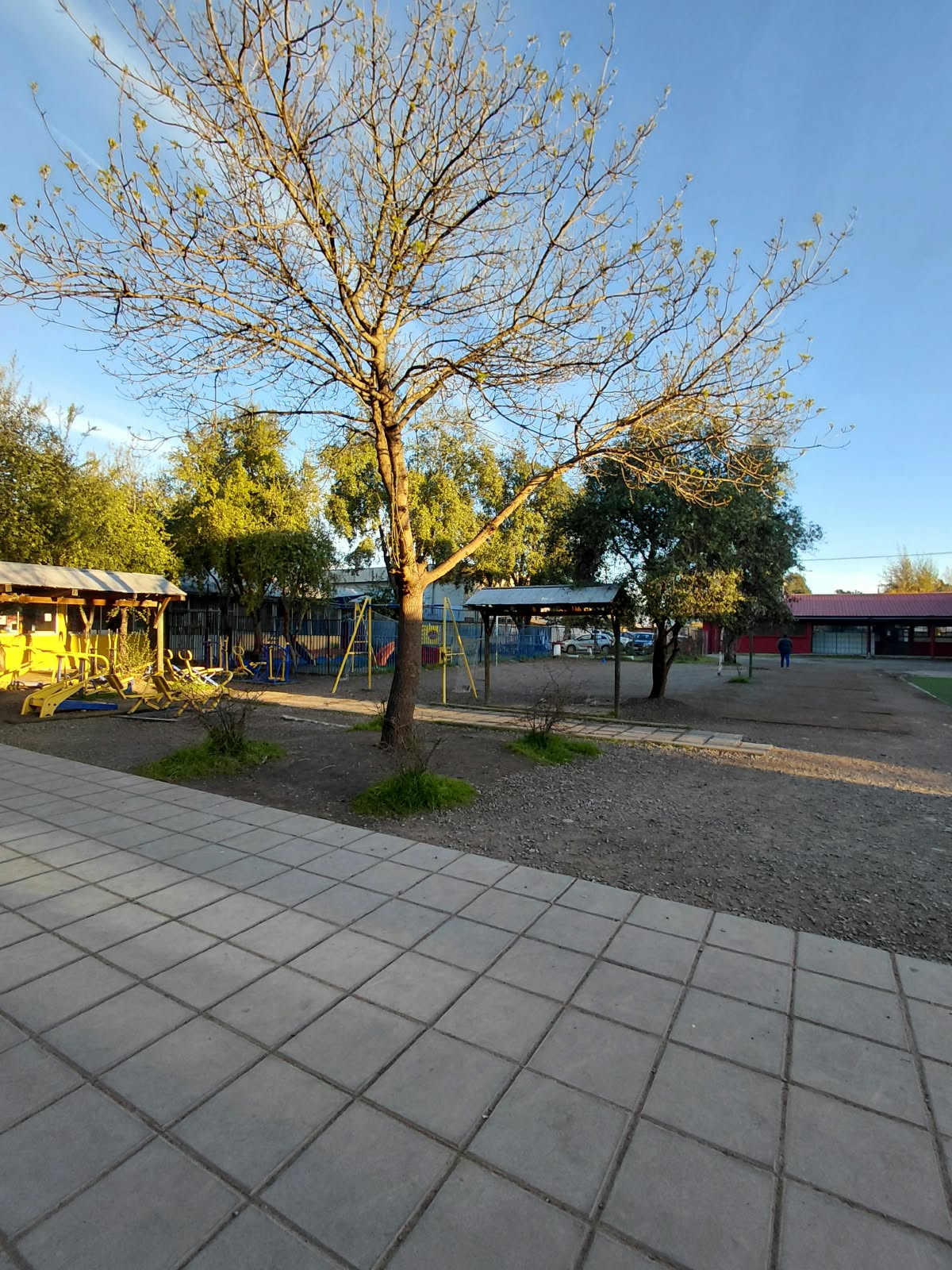 Patio y áreas de juego de la escuela